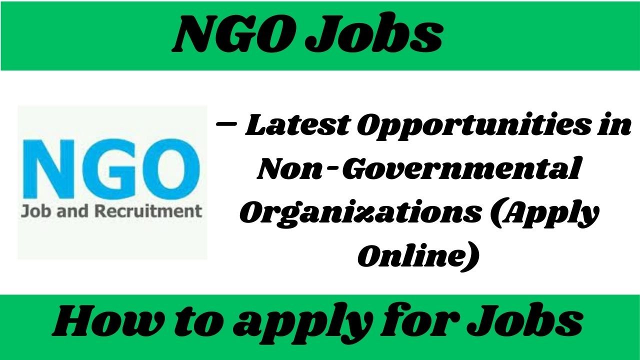 NGO Jobs
